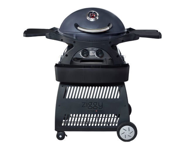 Ziggy by ziegler and brown BBQ Ziggy Classic Twin Grill LPG Plus Cart Bundle